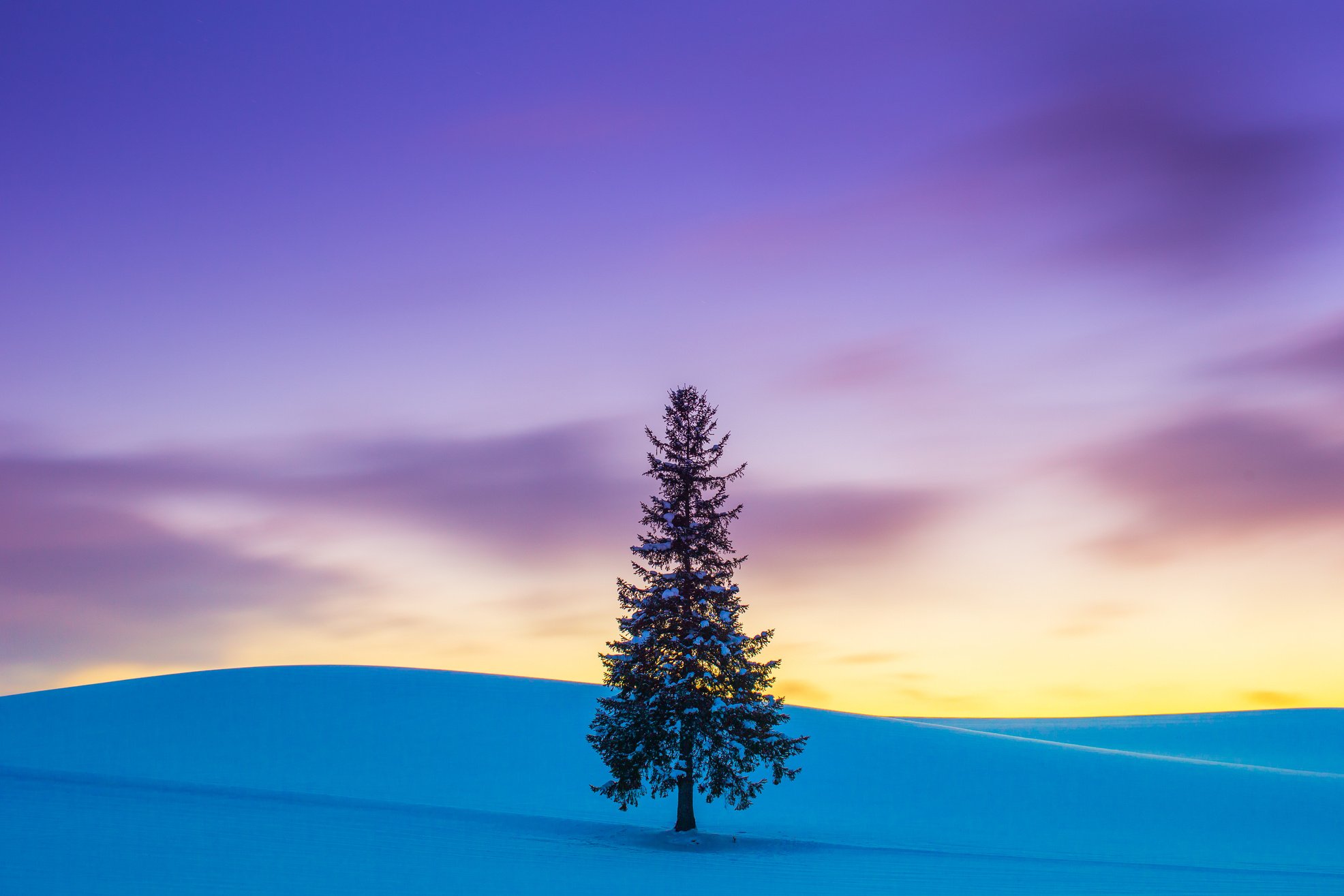 Biei Hokkaido in Winter